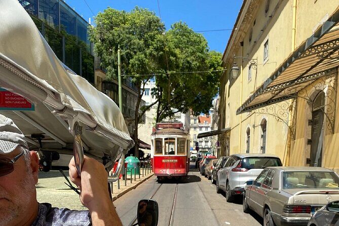3 Hours Private Lisbon Food Tuk Tour - Miradouro da Senhora do Monte: the high-point views and a food break