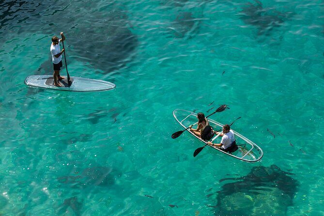 Arrábida: Guided Transparent Kayaking Tour - The 2-Hour Paddle: Following the Water, Not a Tight Script