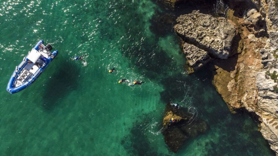 Arrábida: Setubal, Sesimbra Coasteering & Speedboat Tour - Guide Quality and Safety Standards That Keep the Day Fun