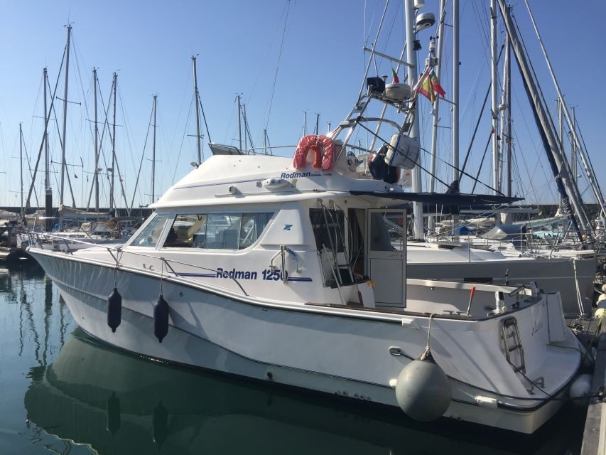 Cascais Deep-Sea Fishing Trip - Your Catch: Keeping Fish, Cooking Tips, and the No-Filet Reality