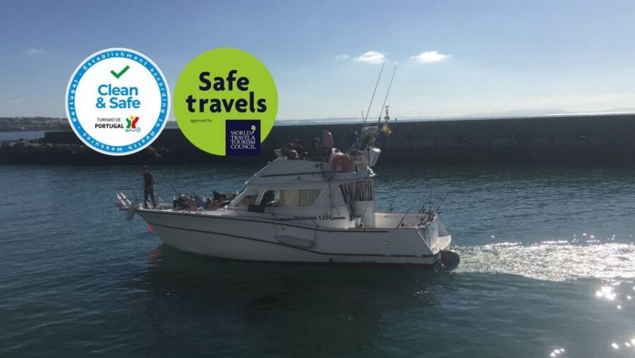 Cascais Deep-Sea Fishing Trip - Weather and Sea Conditions: The One Variable You Can’t Control