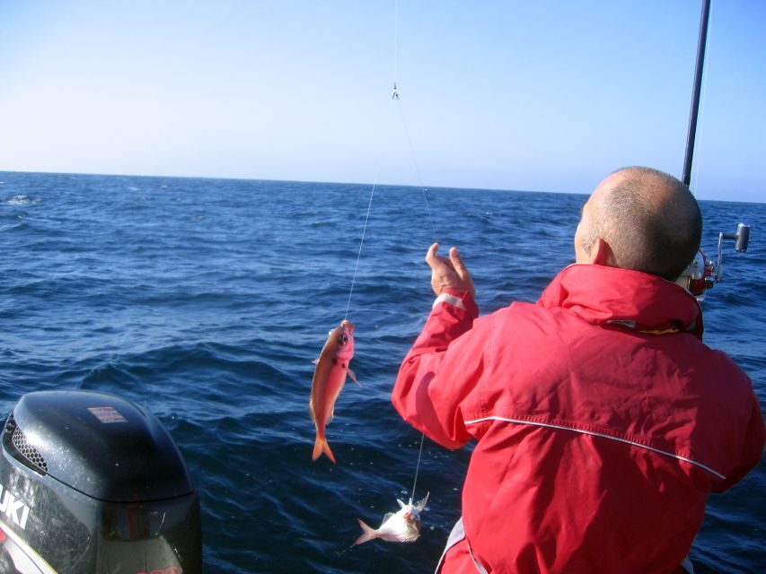 Cascais Deep-Sea Fishing Trip - Price and What It Really Covers: $104 That Doesn’t Feel Like a Rip-Off