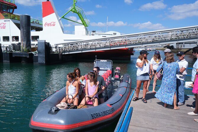 Dolphin watching in Setúbal - The Dolphin Hunt on the Sado River: How the Skipper Really Runs the Trip