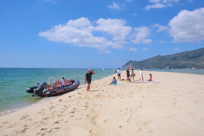 Dolphin watching in Setúbal - The Most Important Decision: Dolphins First, Scenery Second