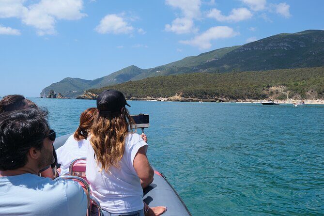 Dolphin watching in Setúbal - Boat Comfort Reality Check: Great Wildlife Chances, Less Plush Seating