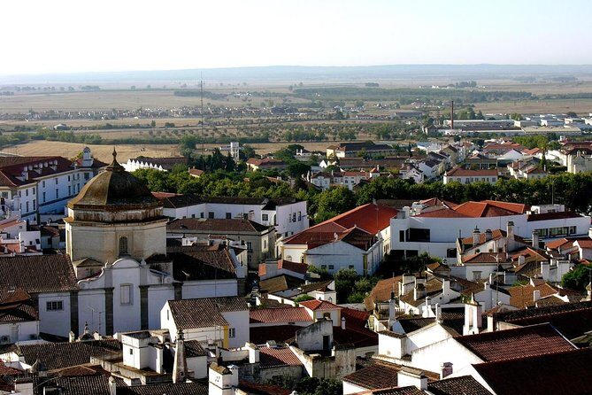 Évora: Private walking tour with tickets to main monuments - Key highlights you’ll actually feel on the ground