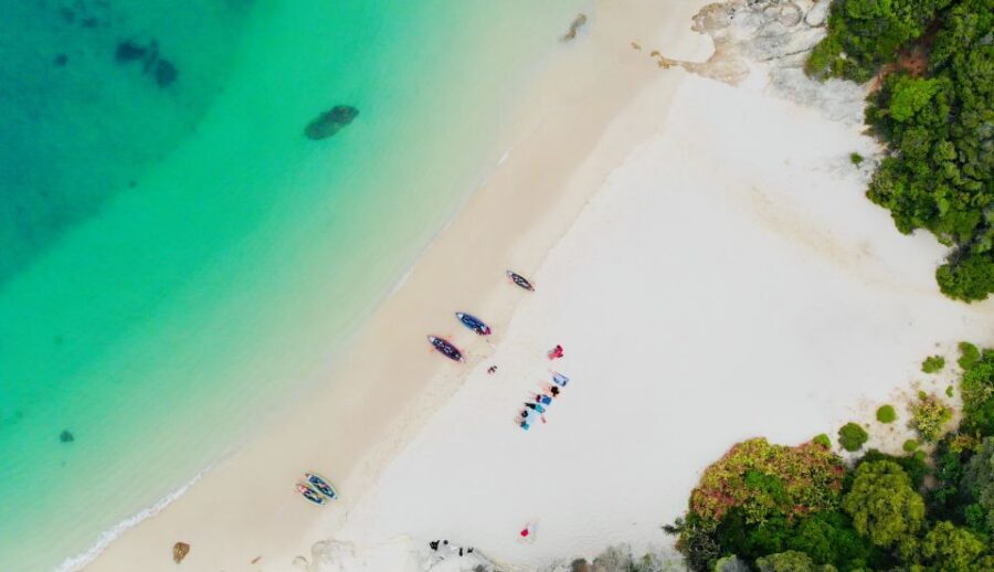 From Lisbon: Arrábida Natural Park Kayak Tour with Lunch - Arrábida Natural Park: trading city vibes for cliffs, caves, and big sea views