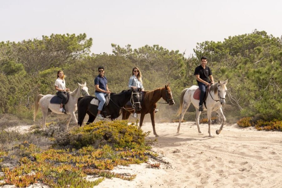 From Lisbon: Comporta and Setúbal Trip with Horseback Riding - Logistics that affect comfort (and how to prepare)