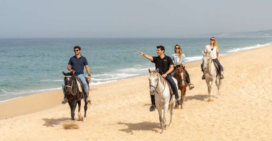 From Lisbon: Comporta and Setúbal Trip with Horseback Riding - Setúbal to Troia: the day trip rhythm that keeps it fun