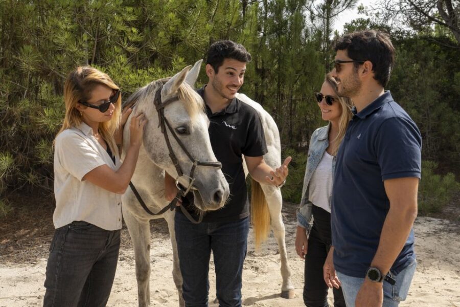 From Lisbon: Comporta and Setúbal Trip with Horseback Riding - Comporta horseback riding: rice fields to white sand