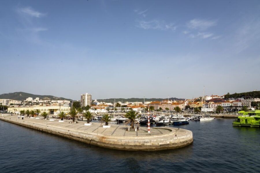 From Lisbon: Comporta and Setúbal Trip with Horseback Riding - The people factor: drivers and guides who shape the day
