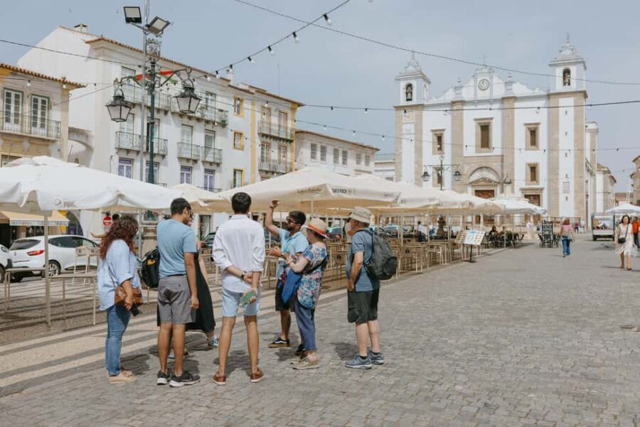 From Lisbon: Évora and Monsaraz Day Tour with Wine Tasting - Wine Tasting in the Monsaraz Area: What You Actually Get