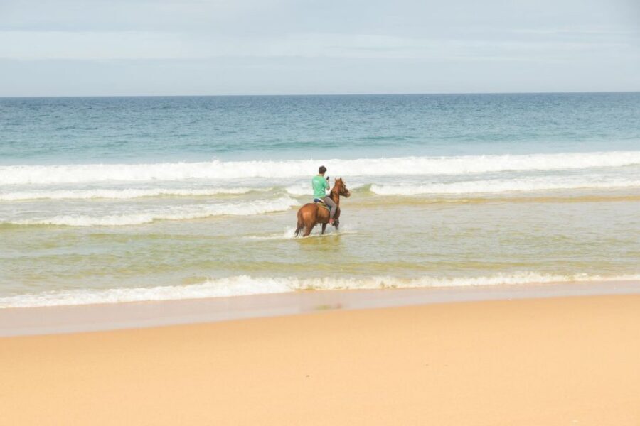 From Lisbon: Horseback Riding on Comporta Beach - Key highlights worth planning around