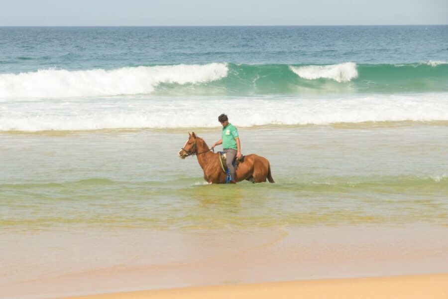 From Lisbon: Horseback Riding on Comporta Beach - Why Comporta horseback riding beats a quick photo stop