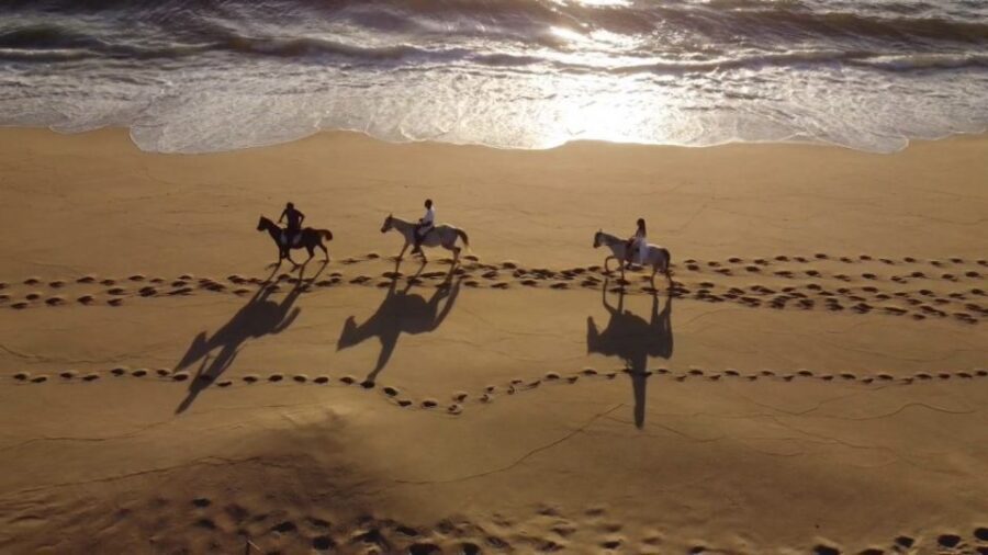 From Lisbon: Horseback Riding on Comporta Beach - The ride start in the Atlantic forest: calm warm-up, real nature time
