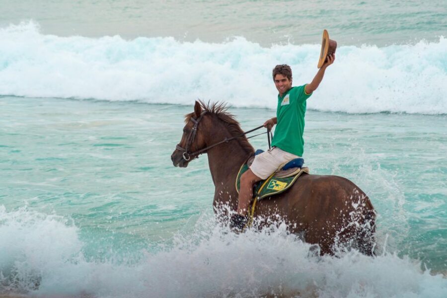 From Lisbon: Horseback Riding on Comporta Beach - Choosing your horse: Lusitano first, then options