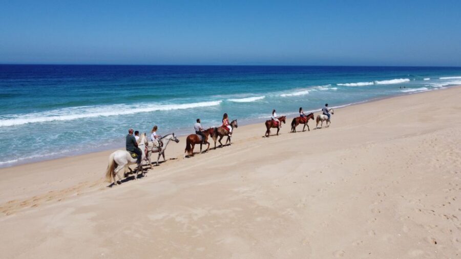 From Lisbon: Horseback Riding on Comporta Beach - What to bring (and what to wear) for the beach-and-forest conditions