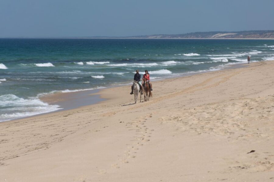 From Lisbon: Horseback Riding on Comporta Beach - Price and value: is $165 fair for Lisbon-to-Comporta riding?
