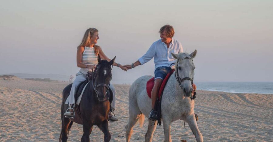 From Lisbon: Horseback Riding on Comporta Beach - Getting from Lisbon to the ranch: timing, comfort, and what to expect