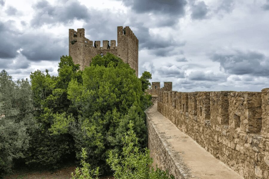 From Lisbon: Nazare Big Waves and Óbidos Guide Day Trip - Guide Style and What You Gain Beyond Photos