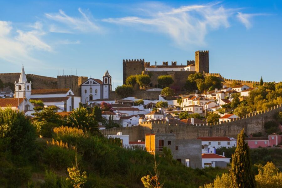 From Lisbon: Private Óbidos and Nazaré Tour - Who this private Óbidos and Nazaré tour suits best