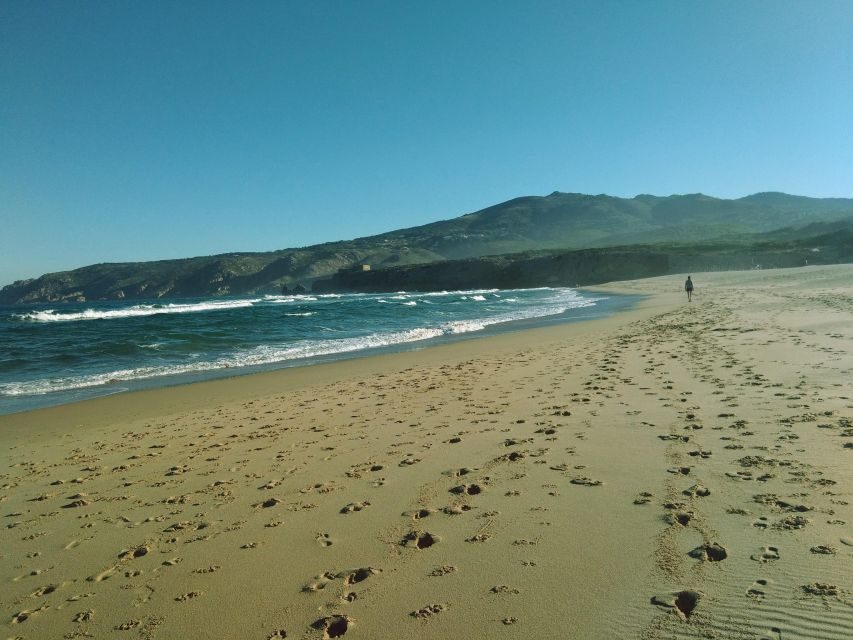 From Lisbon: Sintra and Cascais Natural Park Private Tour - Key highlights at a glance