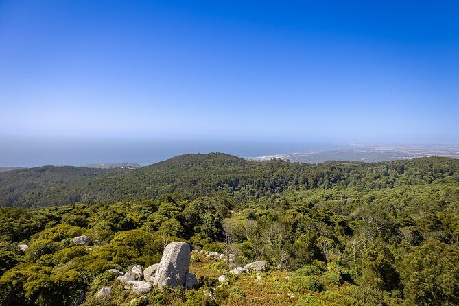 From Lisbon: Sintra, Pena Palace and Regaleira - Meeting Point at Time Out Market Lisboa: Find Florista Santos First
