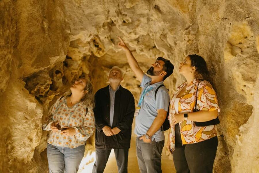 From Lisbon: Sintra, Regaleira and Pena Palace Guided Tour - Guides make or break the day