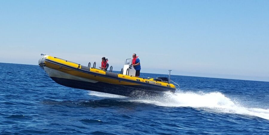 From Peniche: 1-Hour Cabo Carvoeiro Boat Tour - Timing tips: how to plan your hour so you don’t miss anything