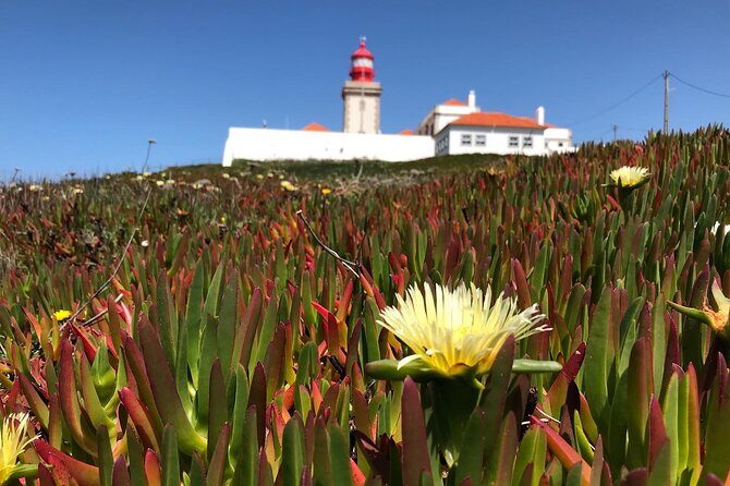 Full Day Tour: Sintra, Pena Palace, Cabo da Roca, Cascais - Group size, pace, and comfort (the stuff that actually affects your day)