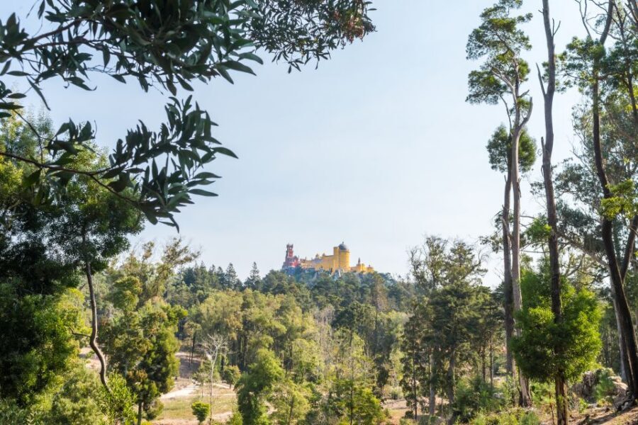 Half-Day Sintra Tour from Lisbon with Transfers - Sintra village and the medieval backbone of the region