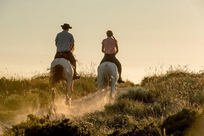 Horse Riding on the Beach - Why Melides’ Beach Ride Feels Like Portugal, Not a Tour Factory