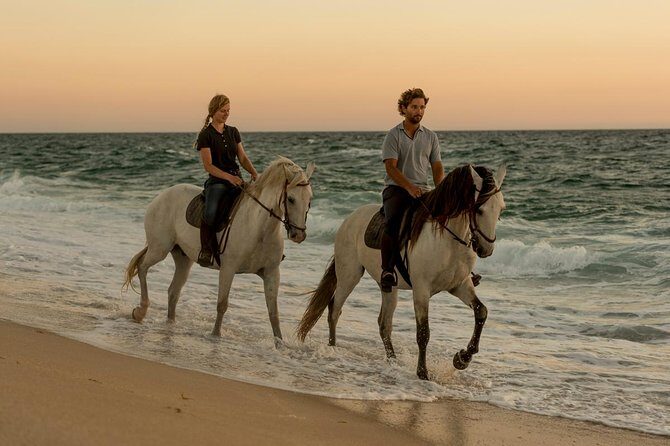 Horse Riding on the Beach - Pine Forest and Dunes First: Getting Comfortable Before the Beach