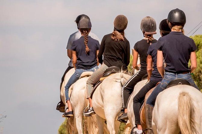 Horse Riding on the Beach - After the Beach: A Lagoon Pass and Birds Along the Way