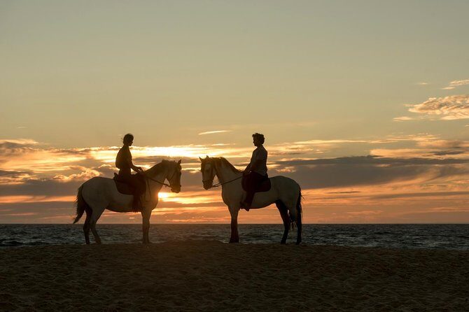 Horse Riding on the Beach - Price and Value: $98.84 for a Private Coast Ride