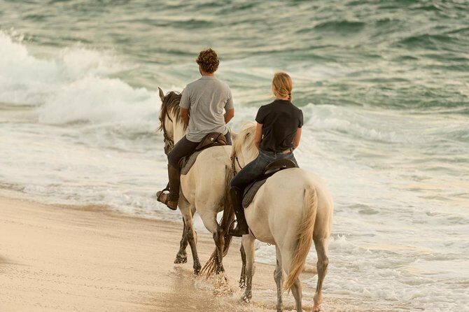 Horse Riding on the Beach - The Beach Segment: Ocean Views, Open Sand, and Real Distance