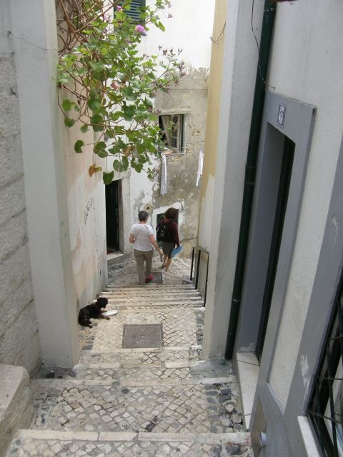 Lisbon: Alfama and São Jorge Castle Quarters Walking Tour - Casa dos Bicos Meeting Point: the House of Spikes