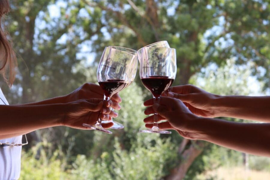 Lisbon: Arrábida and Sesimbra Day Trip with Wine - Key moments that make this day trip work