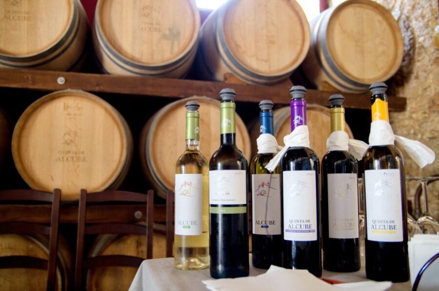 Lisbon: Arrábida and Sesimbra Day Trip with Wine - Which traveler should book this day trip (and who might skip it)