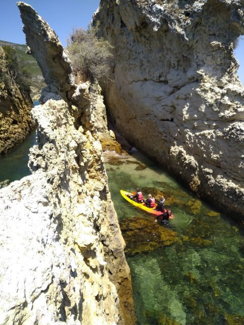 Lisbon: Arrábida Kayak and Coasteering Adventure Tour - Snorkeling at Anicha island: seeing wildlife up close