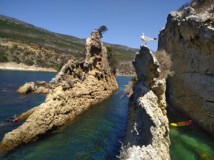 Lisbon: Arrábida Kayak and Coasteering Adventure Tour - Price and value: is $147 a fair deal for all-day adventure?