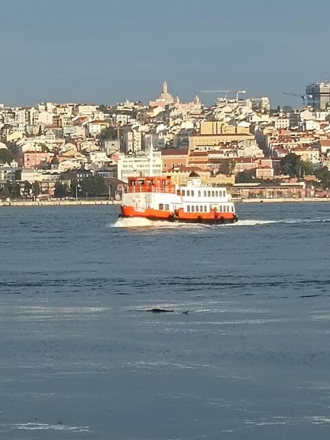 Lisbon: Belem, Jeronimos Monastery, and Coach Museum Tour - Belém Tower Photo Stop and the Monument to the Discoveries