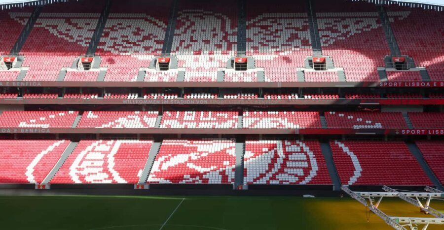 Lisbon: Benfica Luz Stadium Tour with Souvenir Scarf - Pitch access and the best photo moments: eagles on the field
