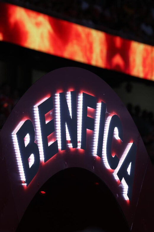Lisbon: Benfica Luz Stadium Tour with Souvenir Scarf - Price and logistics: good value with a few real constraints