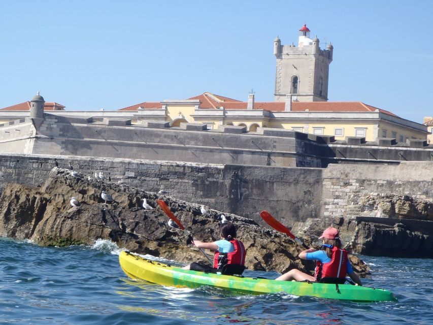 Lisbon: Coast Guided Kayak Tour - Quick hits