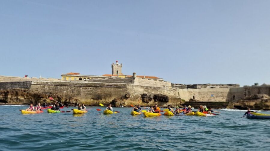 Lisbon: Coast Guided Kayak Tour - The $37 value: what you’re really getting in 2 hours