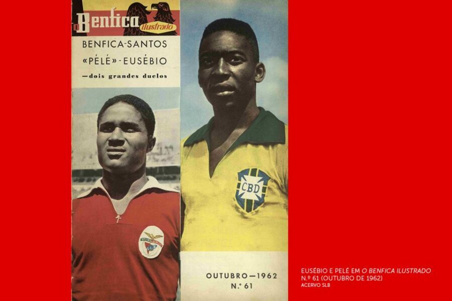 Lisbon: Customized Luz Stadium and Guided Museum Tour - Making the most of your 2-hour plan