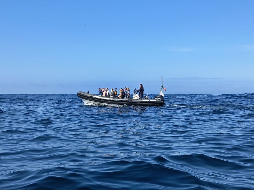 Lisbon: Dolphin Watching with Marine Biologist - Out toward the dolphin search zone: how the 3 hours really plays out