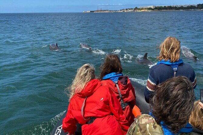 Lisbon: Dolphin Watching with Marine Biologist - Small Group - Fort São Lourenço do Bugio: photo stop views from the water