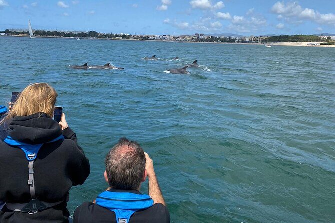 Lisbon: Dolphin Watching with Marine Biologist - Small Group - Cruising from the Doca de Santo Amaro: speedboat fun with a purpose